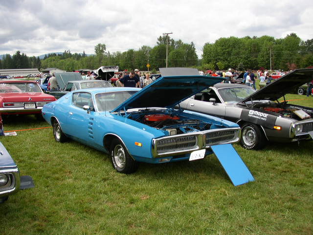 P1010106.JPG